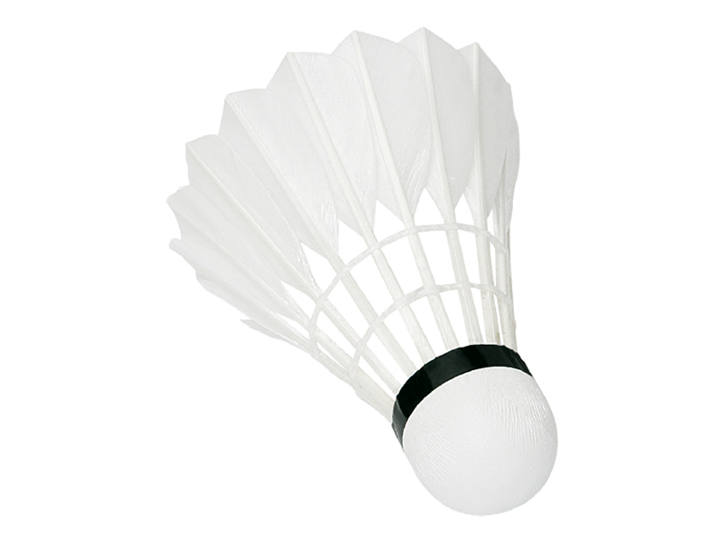 sunflex-professional-badmintonball-2884-1-pop